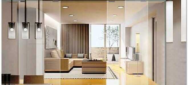 Межкомнатные двери из закаленного стекла